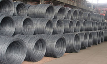 MS Wire Rods in Chennai,MS Wire Rods Tamilnadu,MS Wire Rods India,MS Wire Chennai,MS Wire Tamilnadu,MS Wire India,MS Wire Suppliers Chennai,MS Wire Suppliers Tamilnadu,MS Wire Suppliers India,Gp Coils Sheets,Galvanized Sheet,Ppgi Coils Importer,Pre Painted Galvalume Coil,Cr Sheet Coils,Gp Coils Sheets Chennai,Galvanized Sheet Chennai,Ppgi Coils Importer Chennai,Pre Painted Galvalume Coils Chennai,Cr Sheet Coils Chennai,Gp Coils Sheets Suppliers,Galvanized Sheet Suppliers,Ppgi Coils Suppliers,Pre Painted Galvalume Coil Suppliers,Cr Sheet Coils Suppliers,Gp Coils Sheets Dealers,Galvanized Sheet Dealers,Ppgi Coils Importer Dealers,Pre Painted Galvalume Coil Dealers,Cr Sheet Coils Dealers,Gp Coils Sheets Distributors,Galvanized Sheet Distributors,Ppgi Coils Importer Distributors,Pre Painted Galvalume Coil Distributors,Cr Sheet Coils Distributors